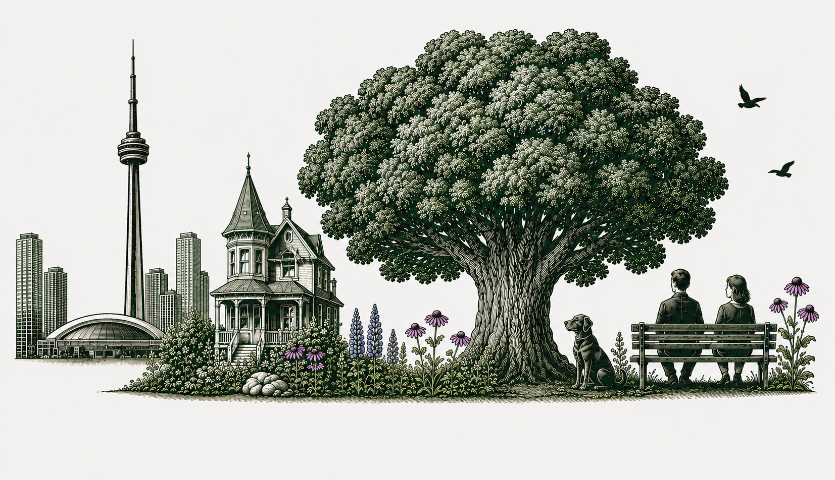 Toronto park and neighbourhood illustration featuring the CN Tower, a Victorian heritage house, and green urban nature — Urban Trapper guided tours
